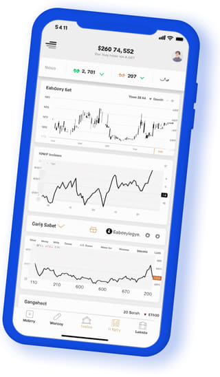 Lagon Rendoire digital web application on mobile device